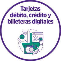 Nuevos Iconos web 17072025 (7)